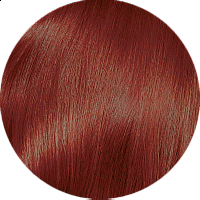Hair color - CHESTNUT